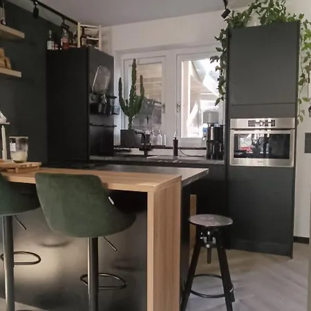 Luxury, Comfy Near Zaanse Schans & Amsterdam Zaandam
