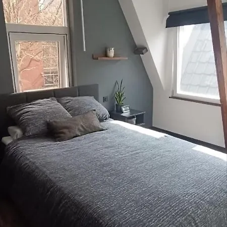 Lejlighed Luxury, Comfy Near Zaanse Schans & Amsterdam Zaandam