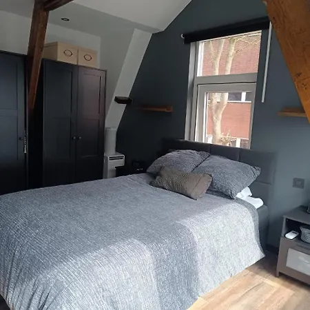 Luxury, Comfy Near Zaanse Schans & Amsterdam
